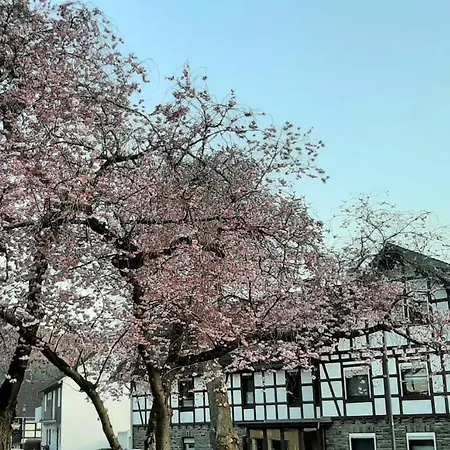 Διαμέρισμα Vivanatura Eifelferienappartement Simmerath