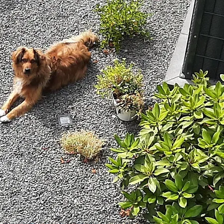 Vivanatura Eifelferienappartement Διαμέρισμα