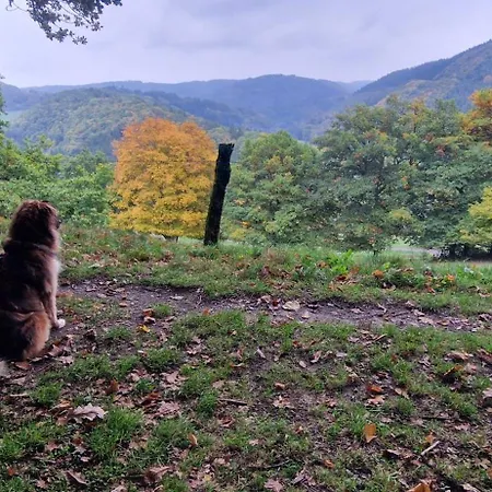 Vivanatura Eifelferienappartement Apartment