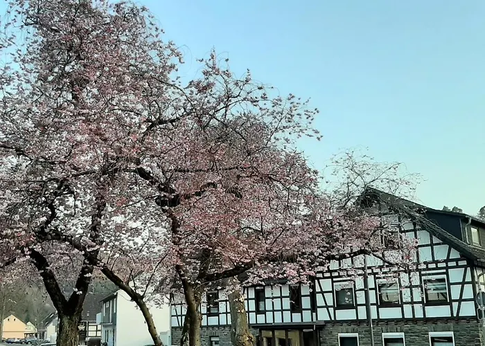 Apartamento Vivanatura Eifelferienappartement Simmerath