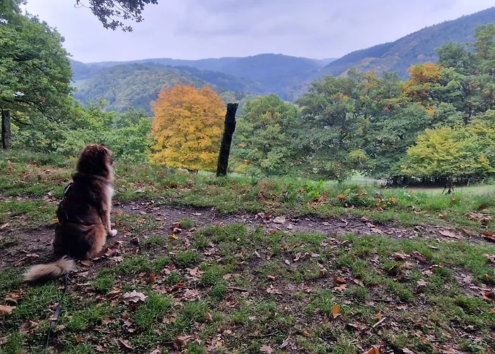 Vivanatura Eifelferienappartement Apartamento